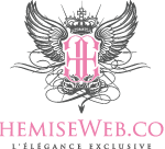 chemise web logo